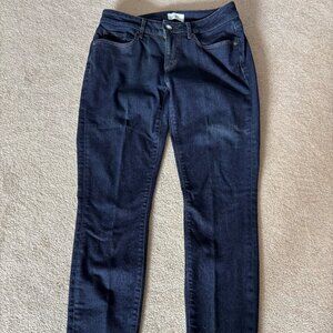 Loft Curvy Skinny Leg Jeans